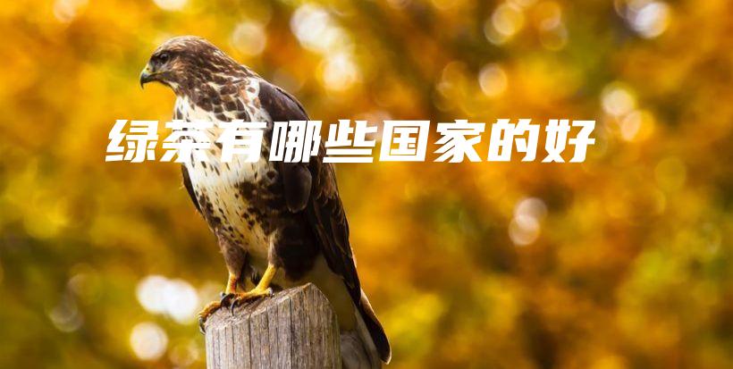 綠茶有哪些國家的好插圖