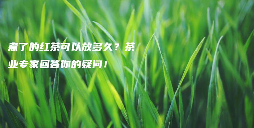 煮了的紅茶可以放多久？茶業(yè)專家回答你的疑問！插圖