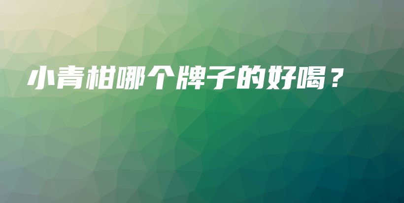 小青柑哪個牌子的好喝？插圖
