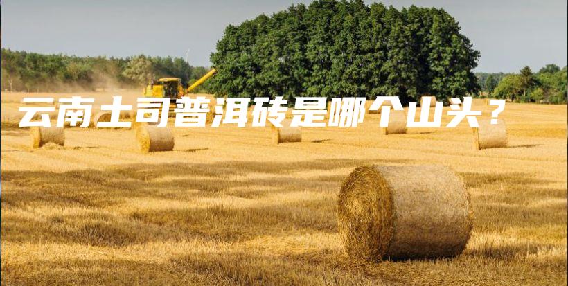 云南土司普洱磚是哪個(gè)山頭？插圖