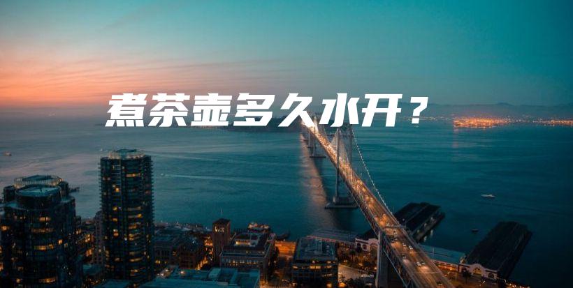煮茶壺多久水開？插圖