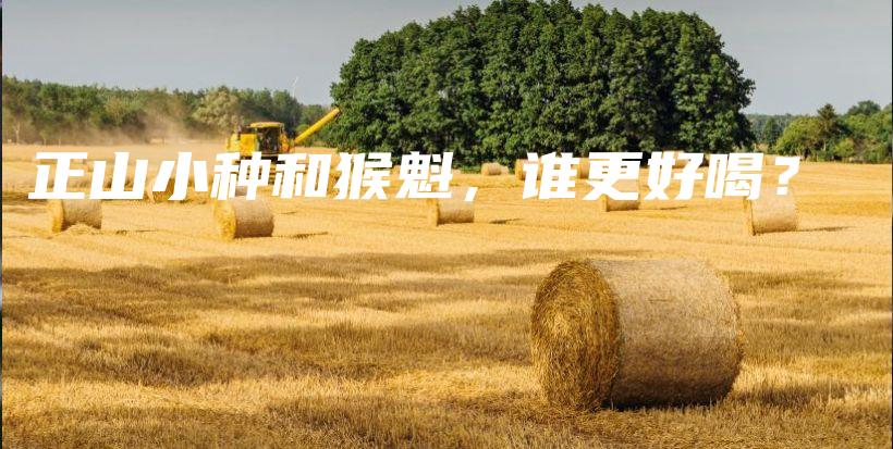正山小種和猴魁，誰更好喝？插圖