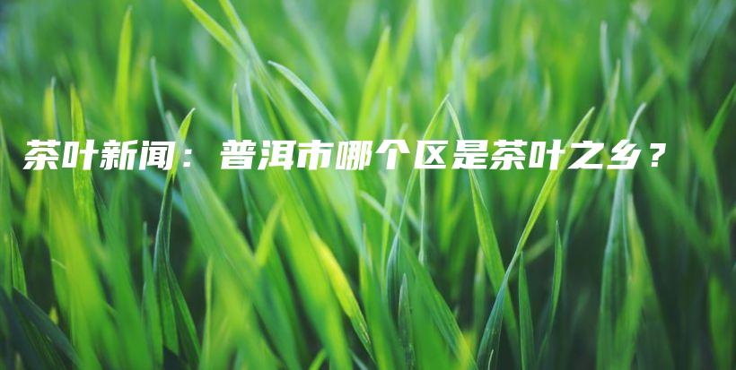 茶葉新聞：普洱市哪個(gè)區(qū)是茶葉之鄉(xiāng)？插圖