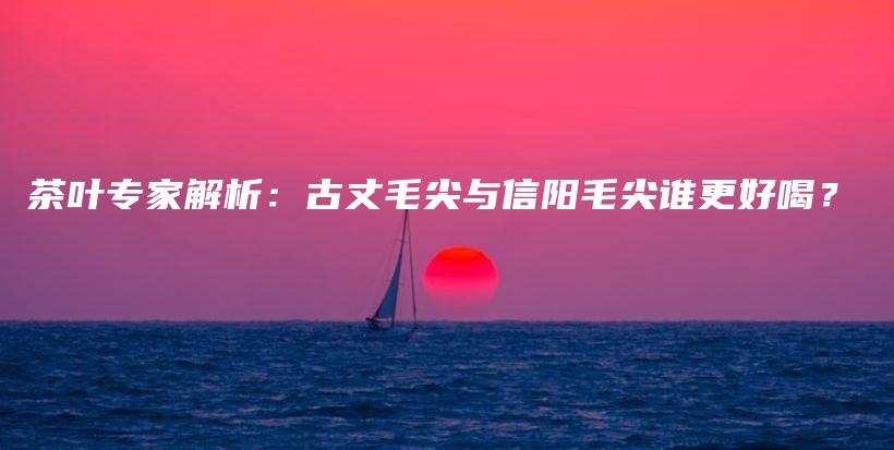 茶葉專家解析：古丈毛尖與信陽(yáng)毛尖誰(shuí)更好喝？插圖