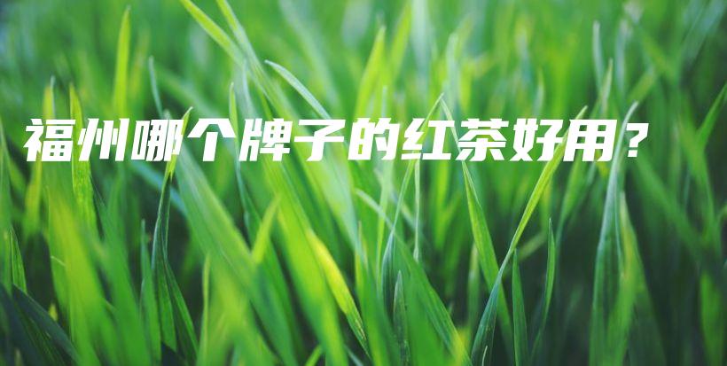 福州哪個牌子的紅茶好用？插圖