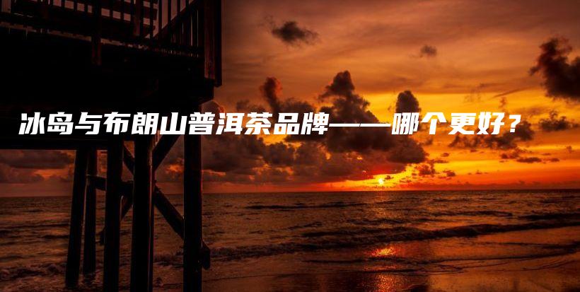 冰島與布朗山普洱茶品牌——哪個更好？插圖