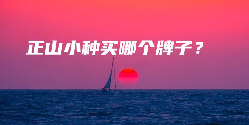 正山小種買哪個(gè)牌子？插圖