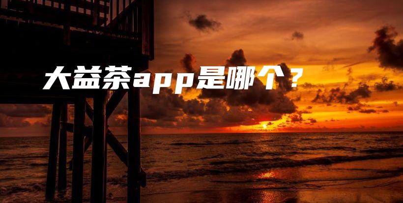 大益茶app是哪個(gè)？插圖
