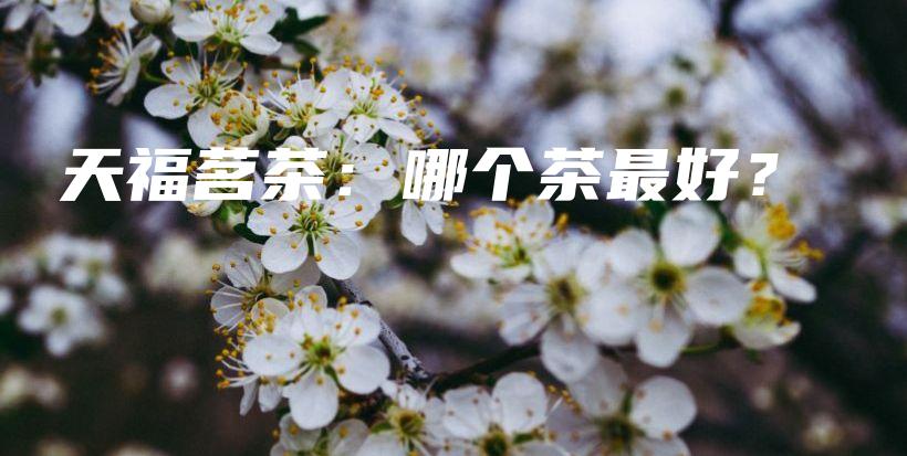 天福茗茶：哪個(gè)茶最好？插圖