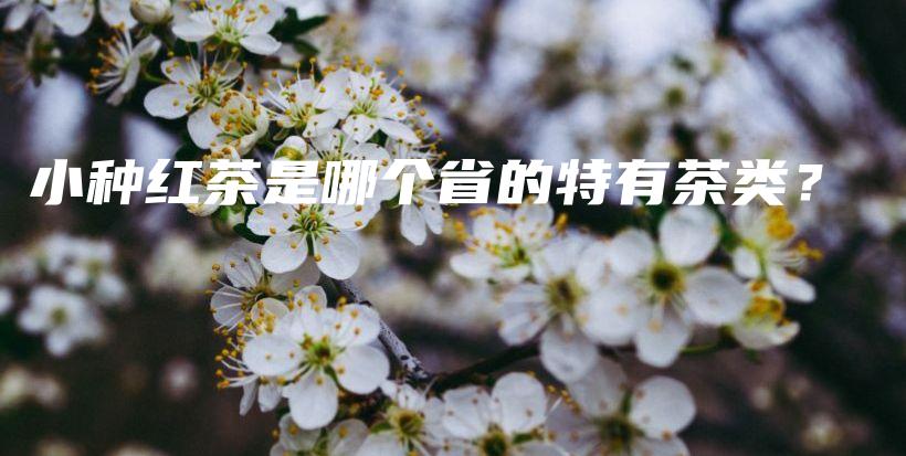 小種紅茶是哪個(gè)省的特有茶類？插圖