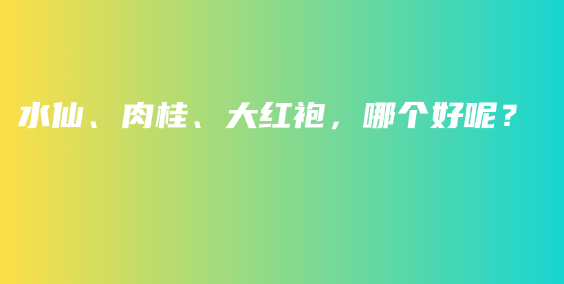 水仙、肉桂、大紅袍，哪個(gè)好呢？插圖