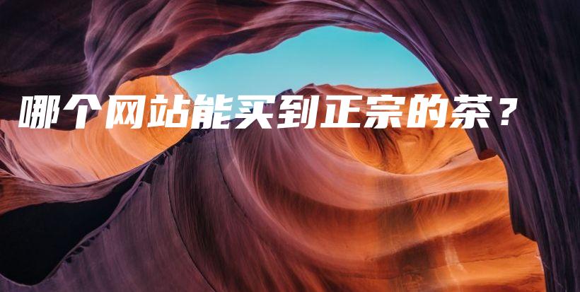 哪個(gè)網(wǎng)站能買(mǎi)到正宗的茶？插圖
