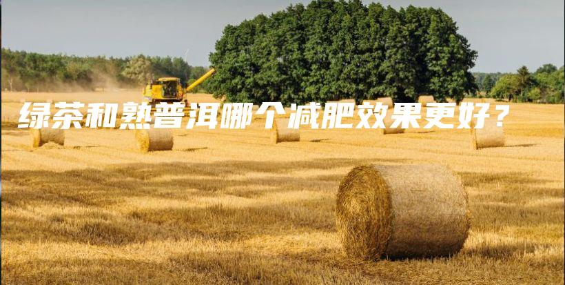 綠茶和熟普洱哪個(gè)減肥效果更好？插圖