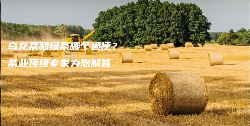 烏龍茶和綠茶哪個通便？ 茶業(yè)頂級專家為您解答插圖