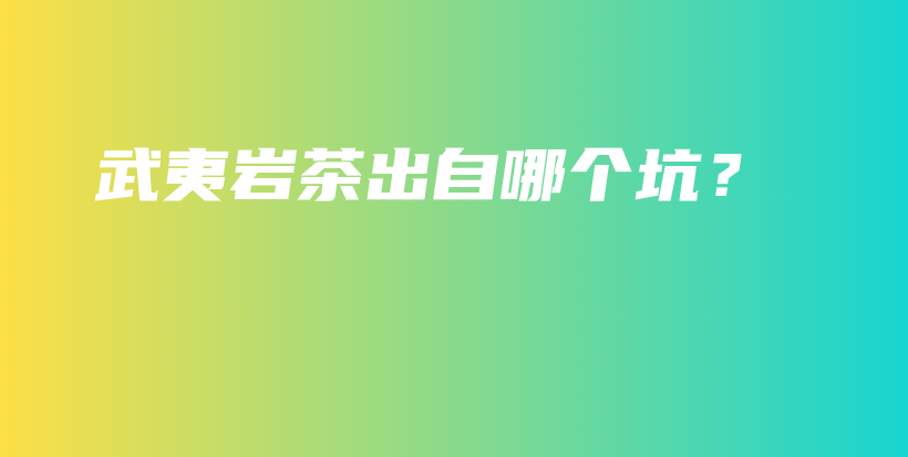 武夷巖茶出自哪個坑？插圖