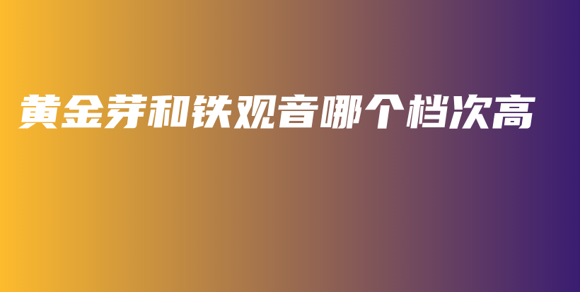 黃金芽和鐵觀音哪個(gè)檔次高插圖