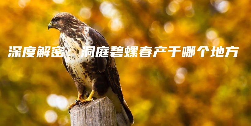 深度解密：洞庭碧螺春產(chǎn)于哪個(gè)地方插圖