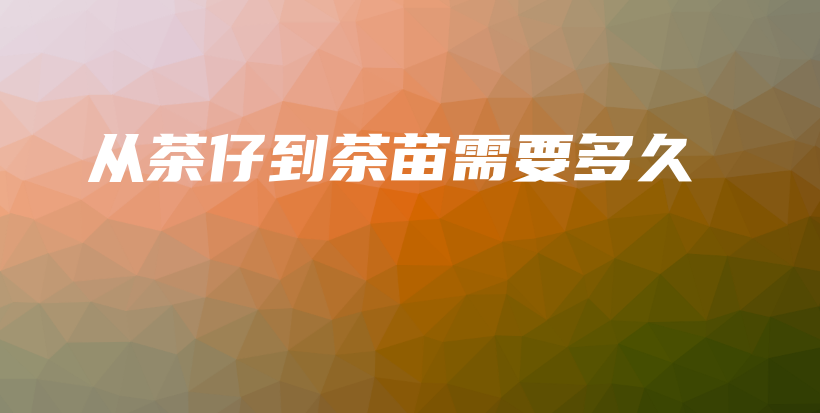 從茶仔到茶苗需要多久插圖