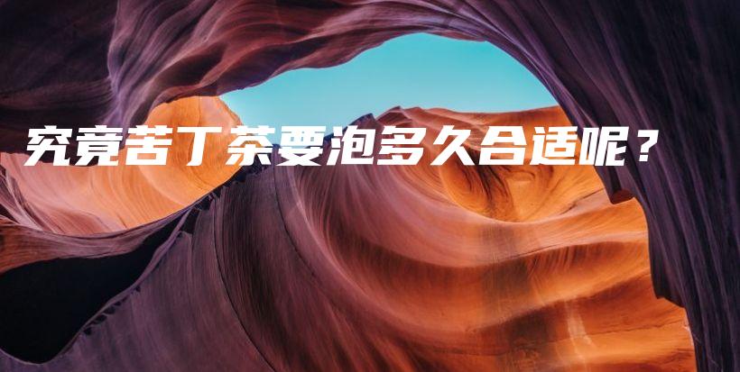 究竟苦丁茶要泡多久合適呢？插圖