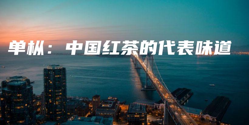 單樅：中國(guó)紅茶的代表味道插圖