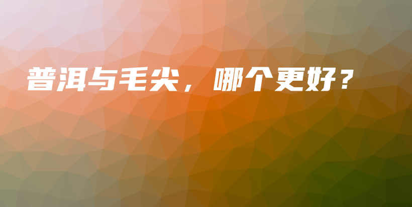 普洱與毛尖，哪個更好？插圖
