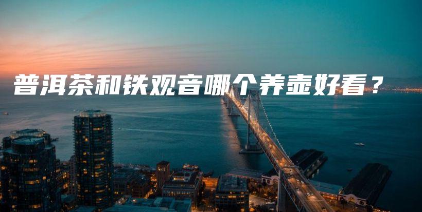普洱茶和鐵觀音哪個養(yǎng)壺好看？插圖