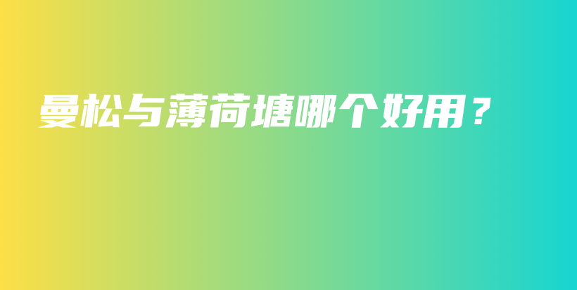 曼松與薄荷塘哪個好用？插圖