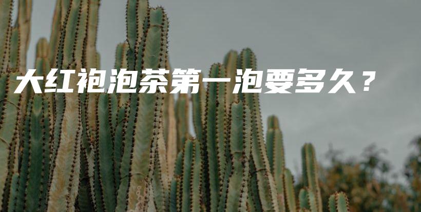大紅袍泡茶第一泡要多久？插圖