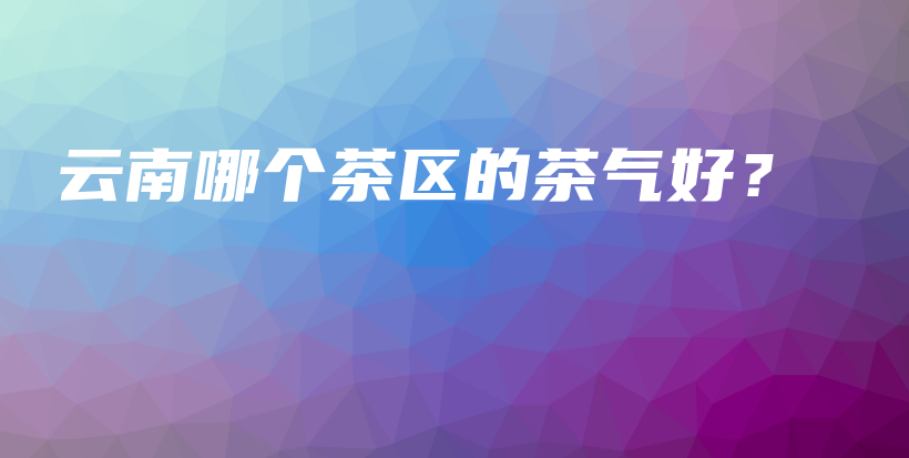 云南哪個(gè)茶區(qū)的茶氣好？插圖
