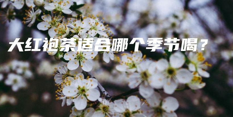 大紅袍茶適合哪個(gè)季節(jié)喝？插圖