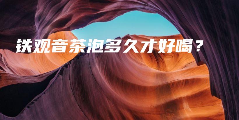 鐵觀音茶泡多久才好喝？插圖