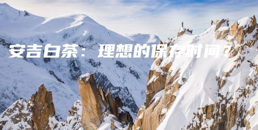 安吉白茶：理想的保存時間？插圖