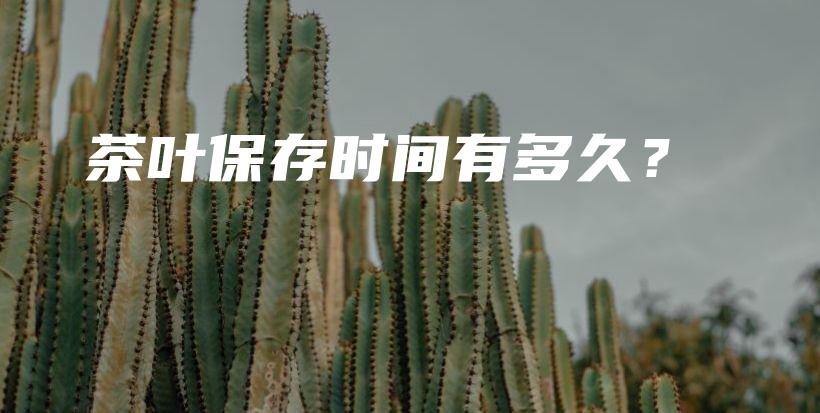茶葉保存時間有多久？插圖