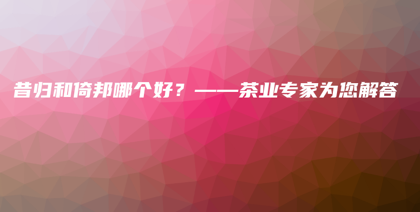 昔歸和倚邦哪個好？——茶業(yè)專家為您解答插圖