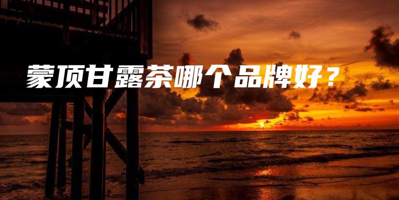 蒙頂甘露茶哪個(gè)品牌好？插圖