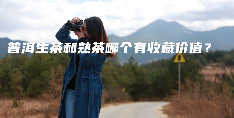 普洱生茶和熟茶哪個(gè)有收藏價(jià)值？插圖