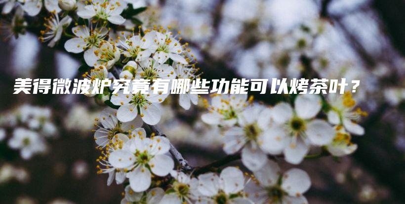 美得微波爐究竟有哪些功能可以烤茶葉？插圖