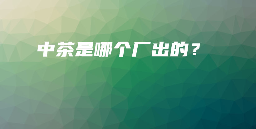 中茶是哪個廠出的？插圖