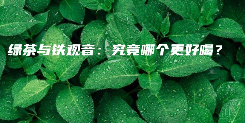 綠茶與鐵觀音：究竟哪個(gè)更好喝？插圖