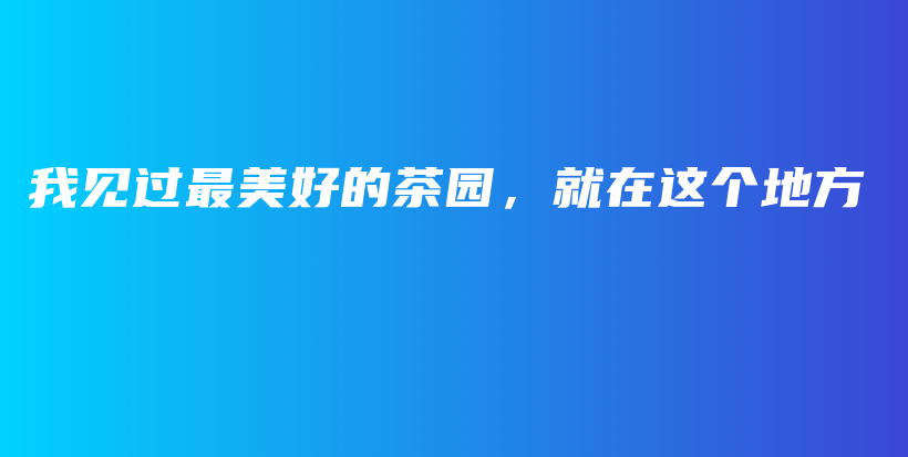 我見過最美好的茶園，就在這個(gè)地方插圖