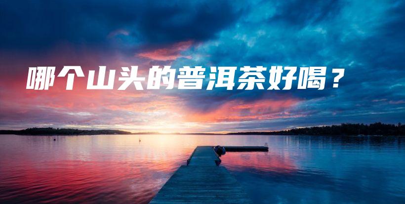 哪個山頭的普洱茶好喝？插圖