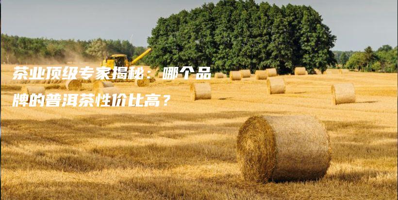 茶業(yè)頂級專家揭秘：哪個品牌的普洱茶性價比高？插圖