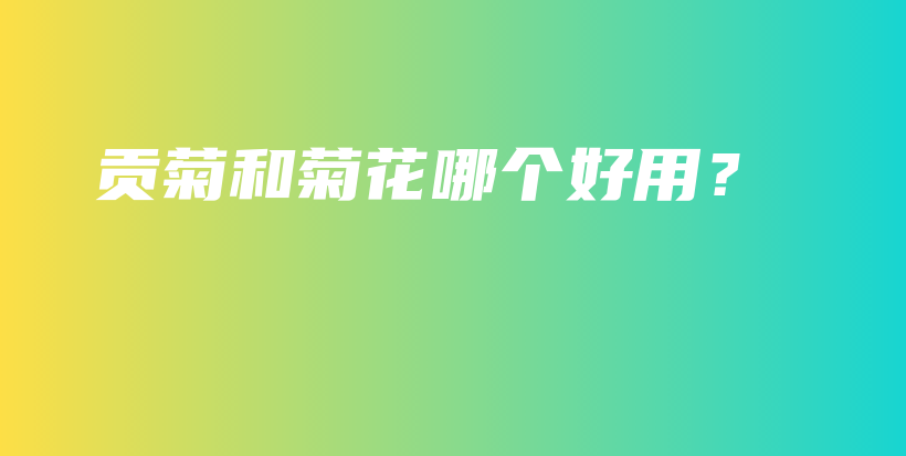 貢菊和菊花哪個(gè)好用？插圖