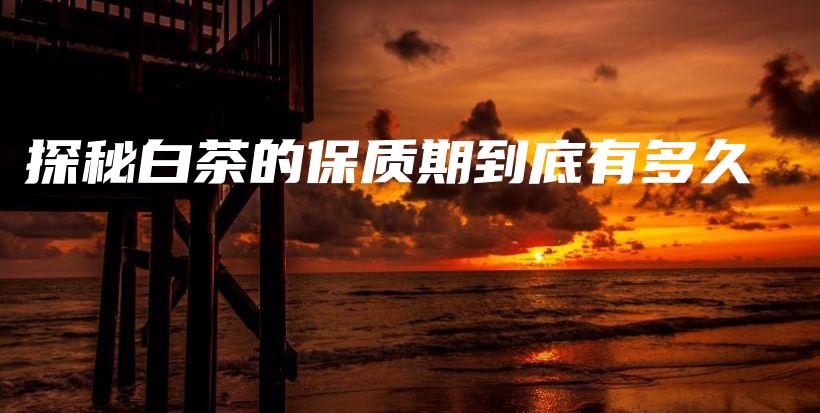 探秘白茶的保質(zhì)期到底有多久插圖