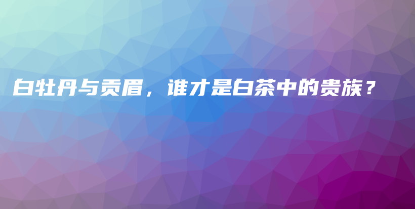 白牡丹與貢眉，誰才是白茶中的貴族？插圖