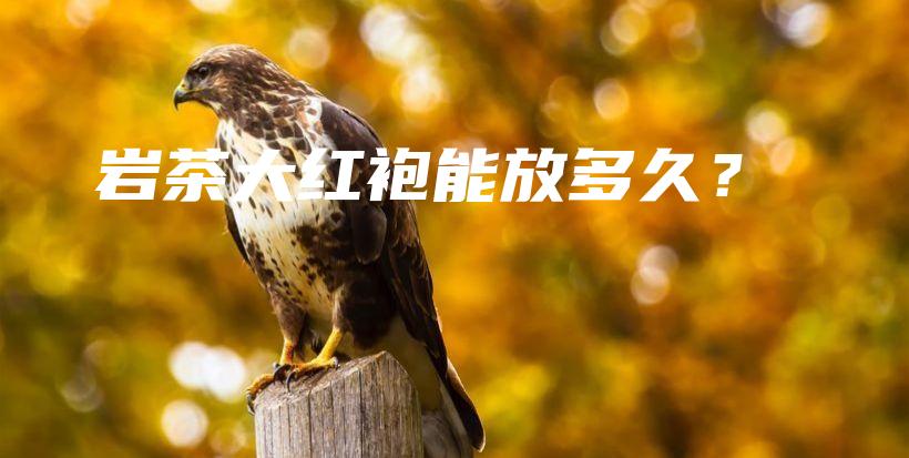 巖茶大紅袍能放多久？插圖