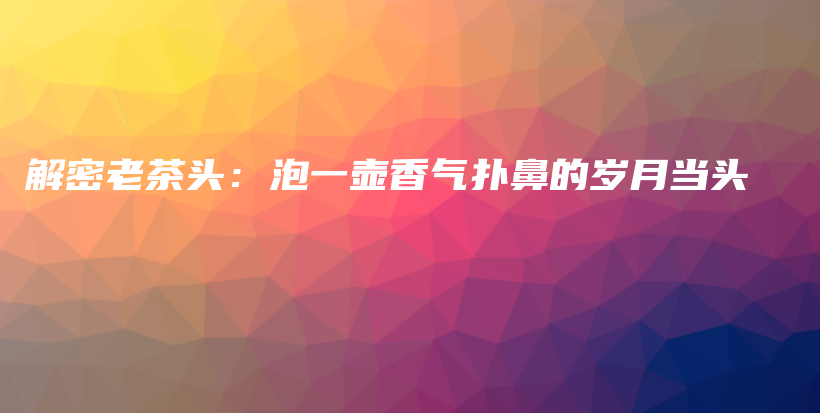 解密老茶頭：泡一壺香氣撲鼻的歲月當(dāng)頭插圖