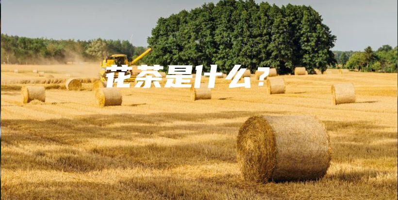 花茶是什么？插圖