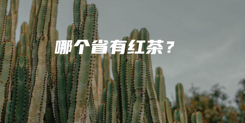 哪個省有紅茶？插圖