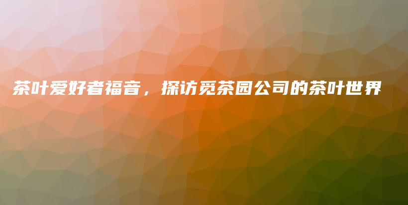 茶葉愛好者福音，探訪覓茶園公司的茶葉世界插圖